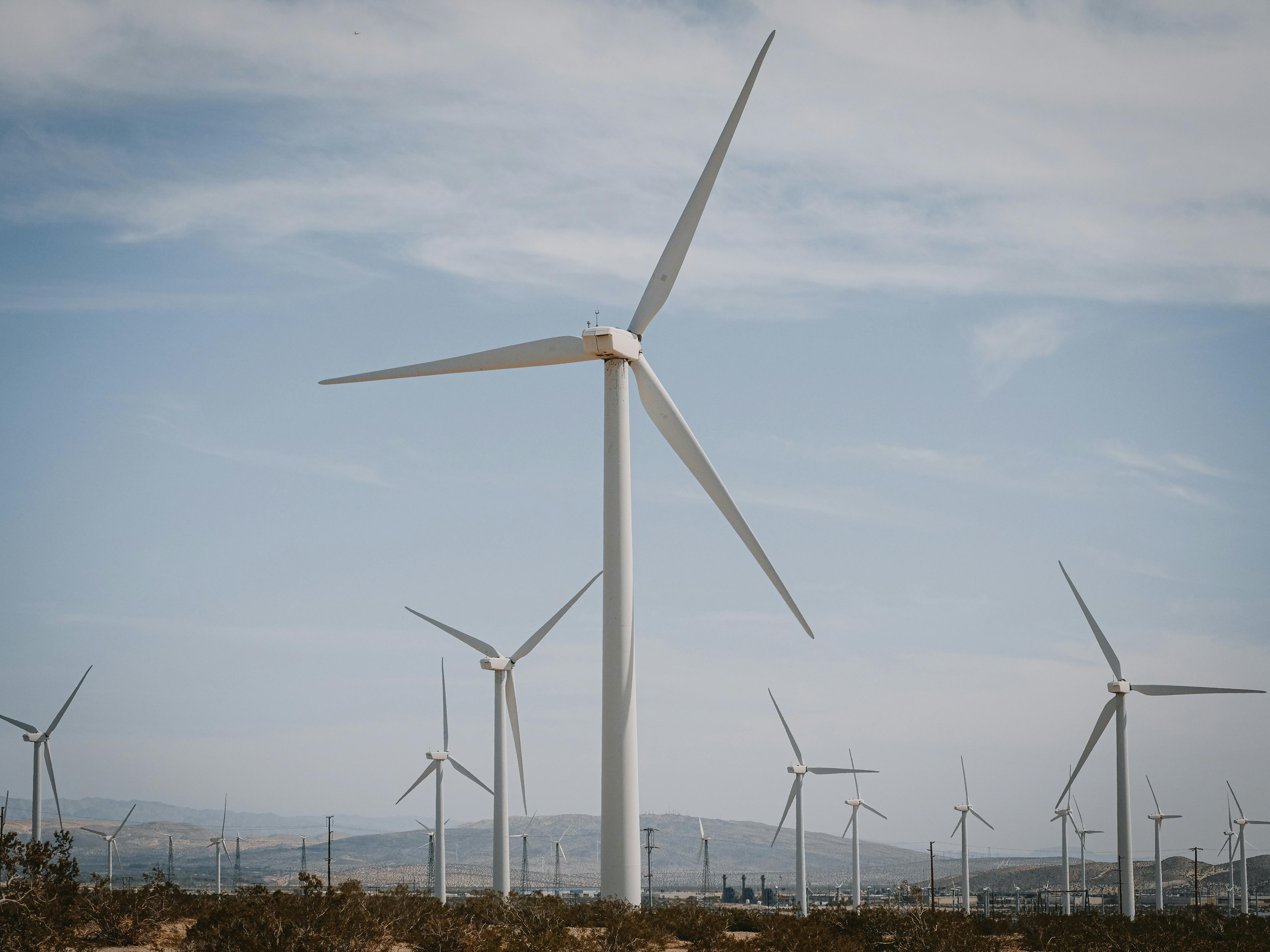 Solar panels and wind turbines at sunset